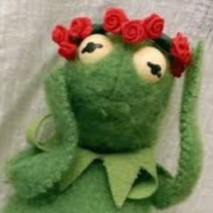 Meet your Posher, Genesis